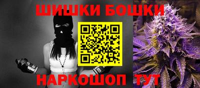 МДПВ Пенза