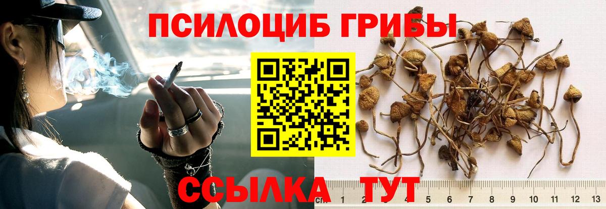 Галлюциногенные грибы MAGIC MUSHROOMS  Вход с VPN  Ревда  Галлюциногенные грибы мицелий 